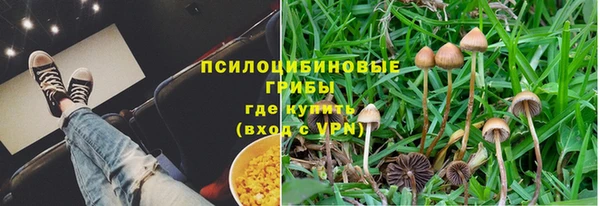 прущая мука Алзамай